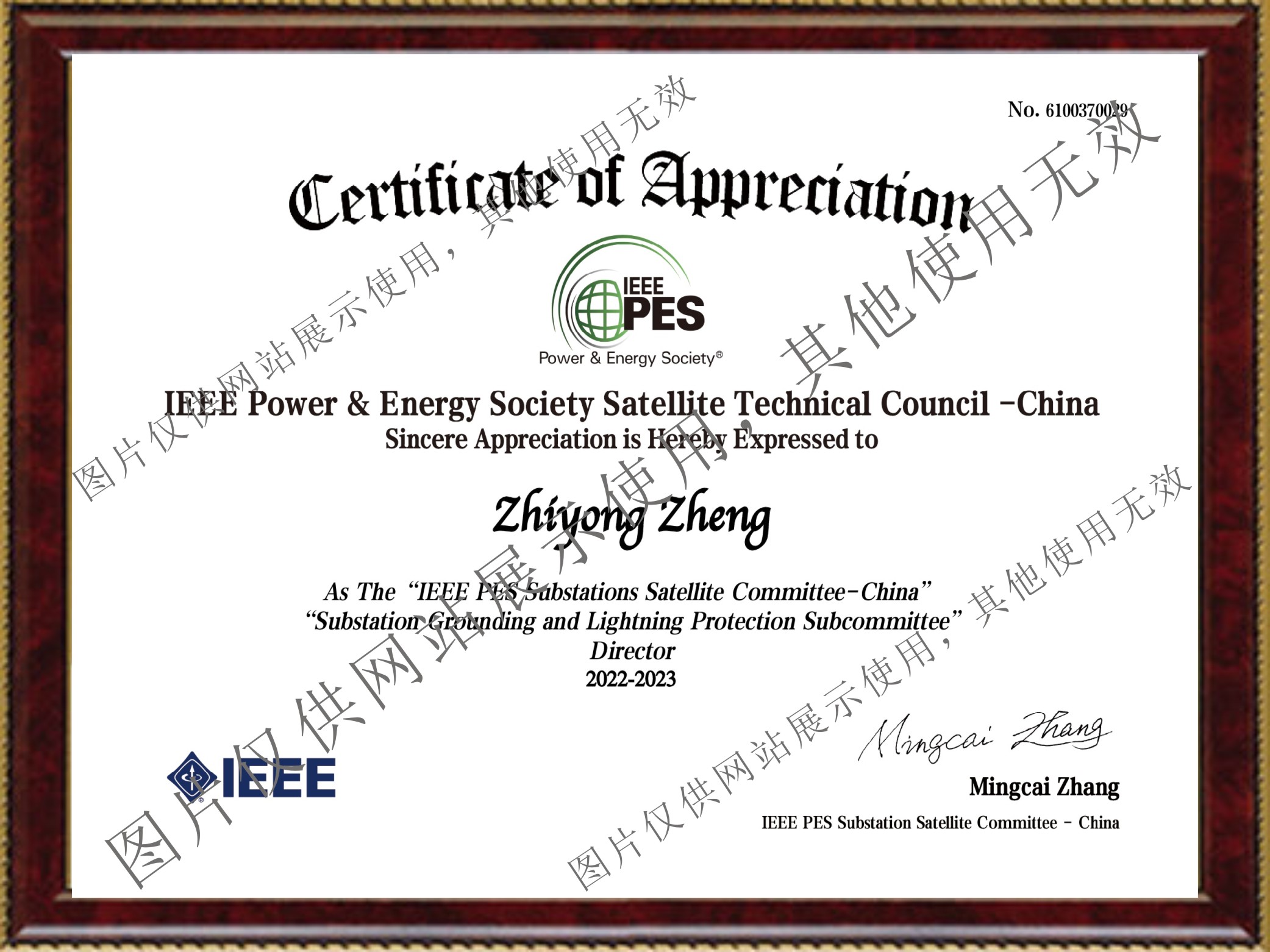 熱烈慶祝我公司董事(shi)長當選為IEEE PES 變電站接地(di)與(yu)防雷分技(ji)術委員會理(li)事(shi)