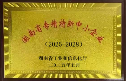 热烈庆祝长沙科智防雷工程有限公司被评为专精特新企业